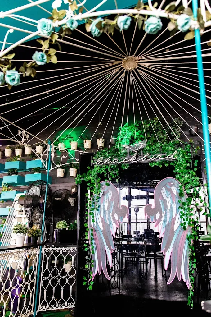 Blackbird Cafe image 2